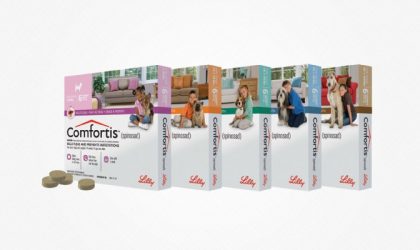 Comfortis : Nouvel Antipuce pour Chiens