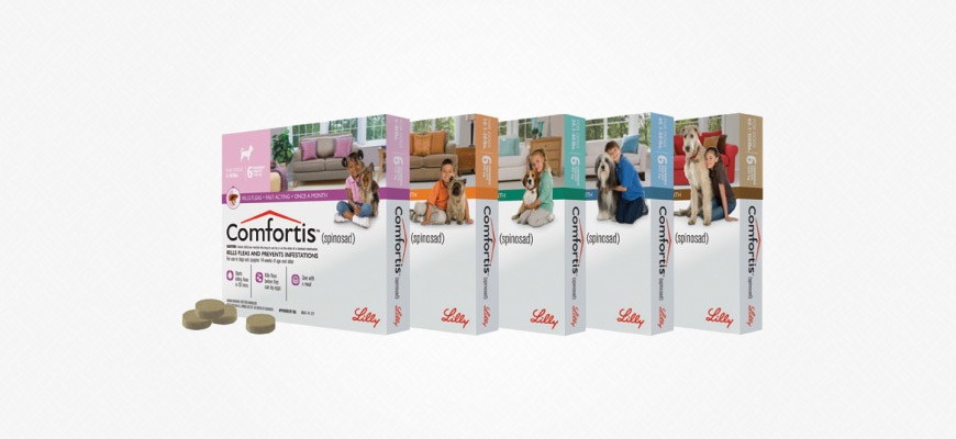 Comfortis : Nouvel Antipuce pour Chiens