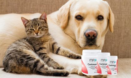 cartimax pour chien et chat