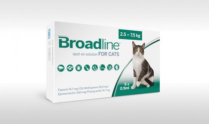 Broadline : Solution Spot-On pour Chats