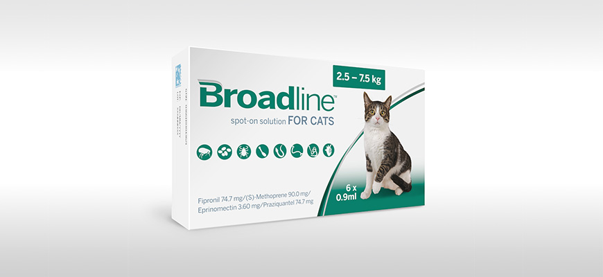 Broadline : Solution Spot-On pour Chats