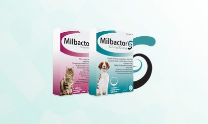 Milbactor - Vermifuge pour Chats et Chiens