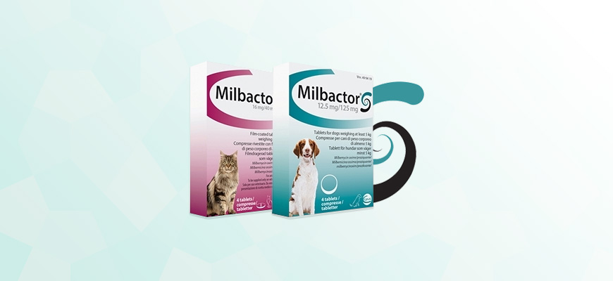 Milbactor Chiot & Chien entre 0,5 et 5 kg 2 cps, Chien