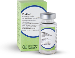 udvide sommerfugl Modernisere ProZinc : nouveau traitement du diabète félin - Companimo Blog
