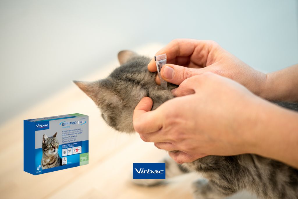 effipro duo pour chat Vibrac