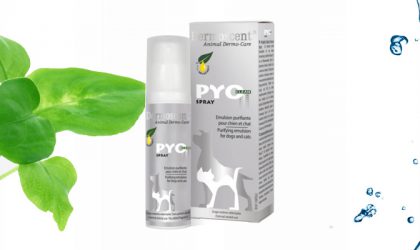 Dermoscent PyoClean Spray