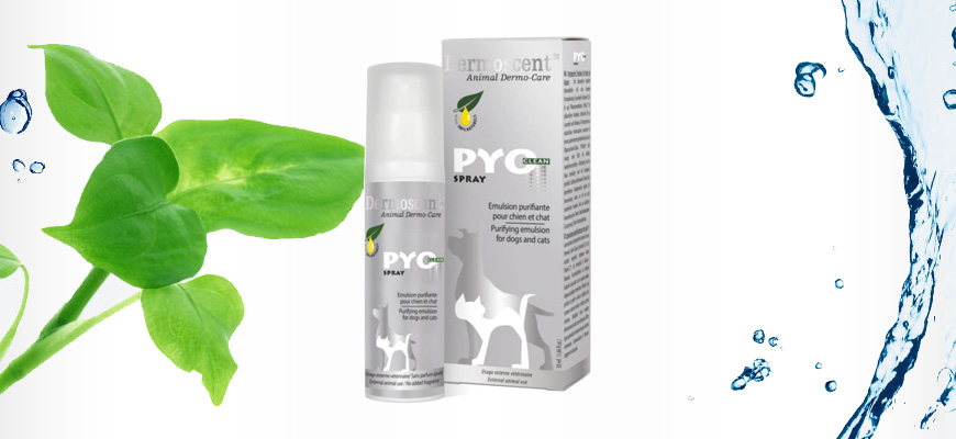 Dermoscent PyoClean Spray