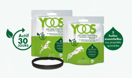Découvrez les colliers YOOS - Confort articulaire et aide à la mobilité