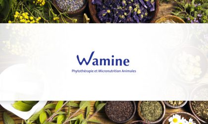 Wamine - Phytothérapie et Micronutrition Animales