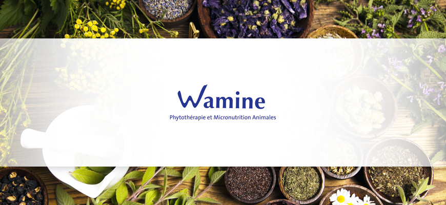 Wamine - Phytothérapie et Micronutrition Animales