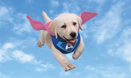Super chien Adaptil en train de voler dans le ciel