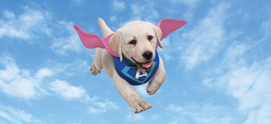 Super chien Adaptil en train de voler dans le ciel