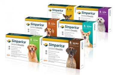 Photo des produits Simparica