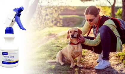 Image du produit Duowin spray et d'une femme accroupie à côté de son chien