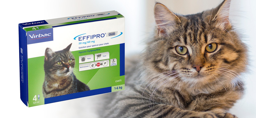 image du produit Effipro à côté d'un chat