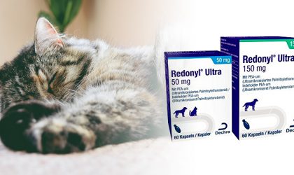 Image de chat qui dort et des produits redonyl