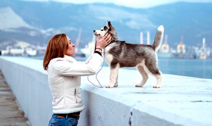 Image d'une femme qui caresse son chiot