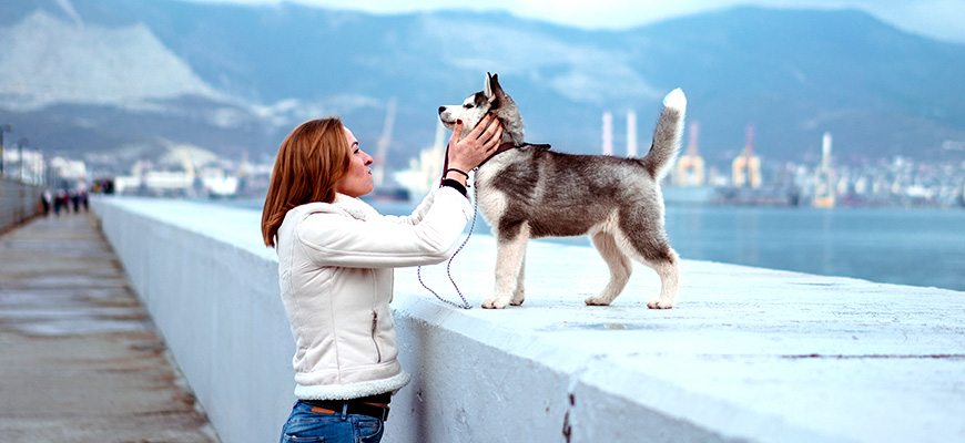 Image d'une femme qui caresse son chiot