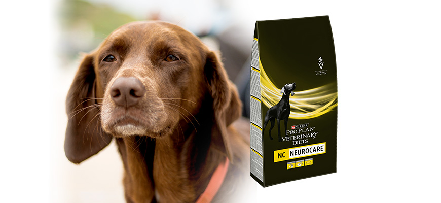 Un chien et le produit proplan neurocare