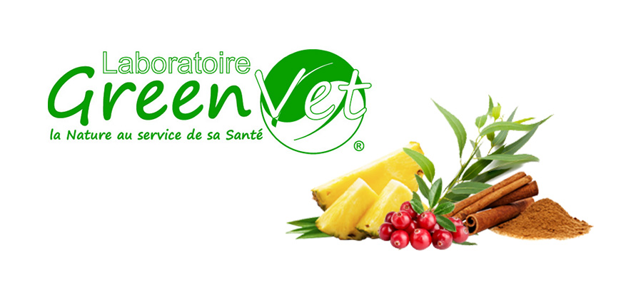 Logo greenvet et image de fruits et plantes