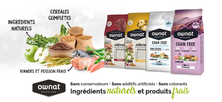 Купить Корм Ownat Кошка Grain