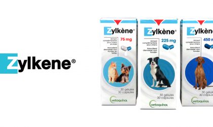 Gamme de produits Zylkène pour chien et chats
