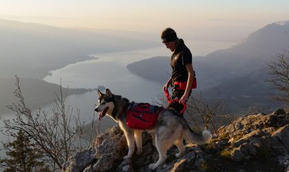 I-DOG : la marque référente du sport canin