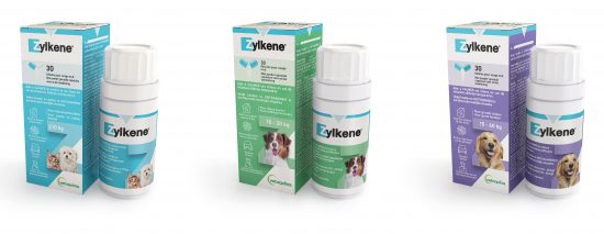 Zylkene Chat  Complément alimentaire pour le chat