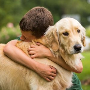 golden retriever avec un enfant 