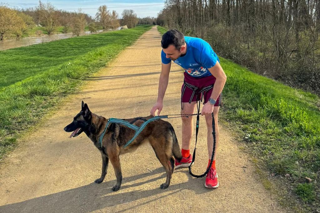 chien et son maitre faisant du cannicros