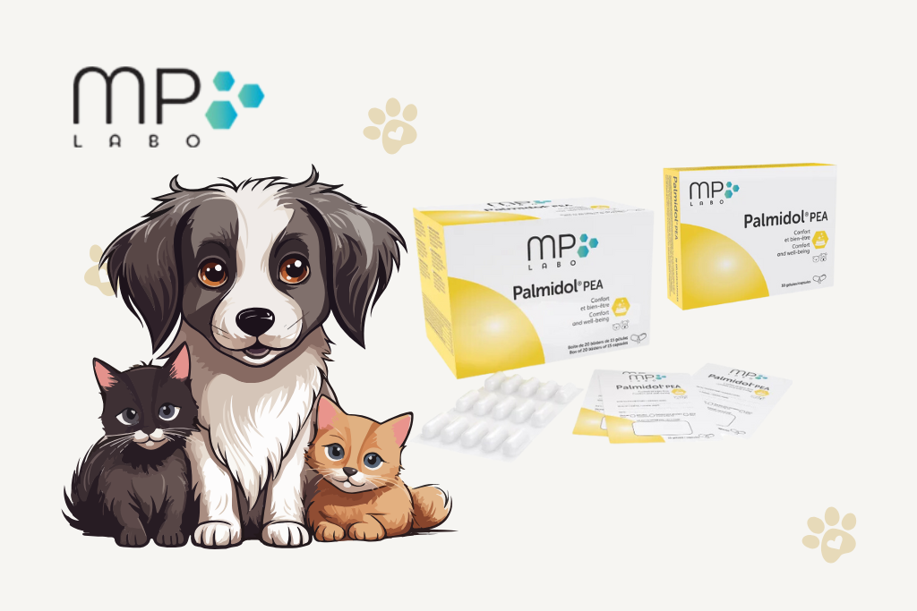 palmidol-mp-labo