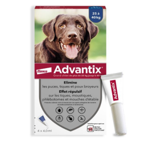 advantix chien