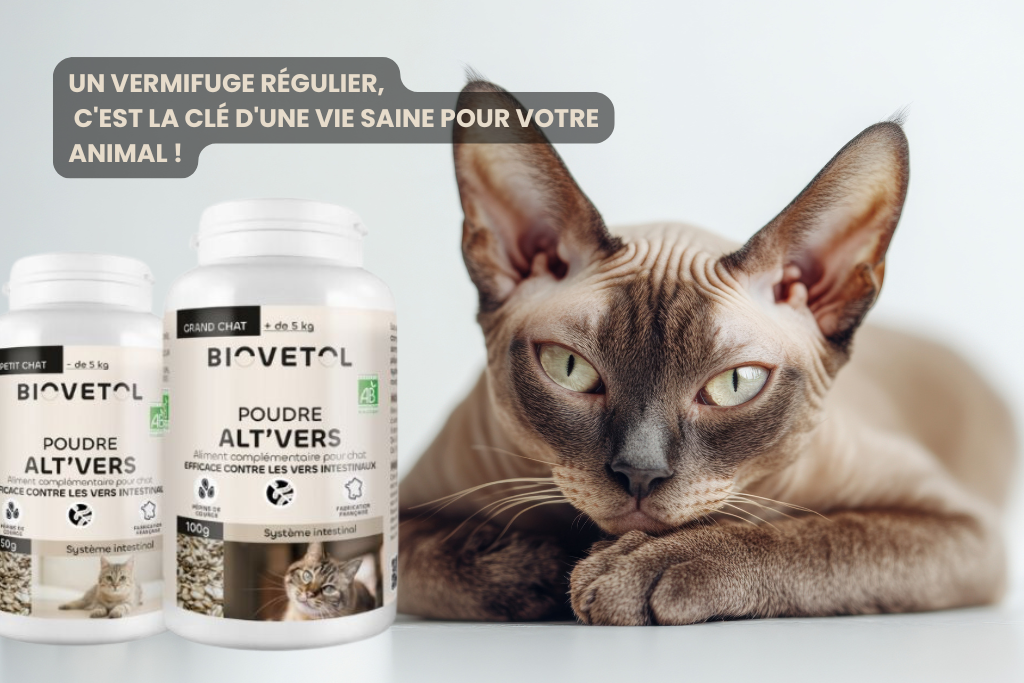 Biovetol Poudre Alt’Vers pour Chat