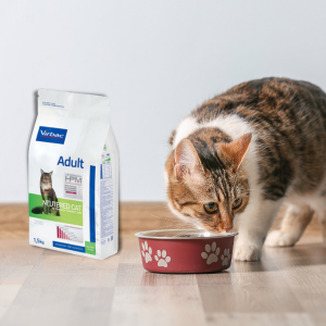 croquettes virbac avec chat 
