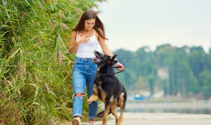 Gérer l’hyperactivité chez le chien : comprendre, agir et apaiser