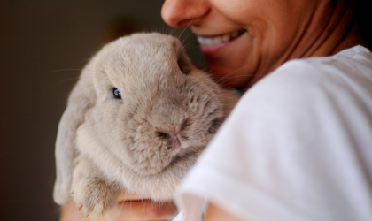 Le Thymome chez le Lapin