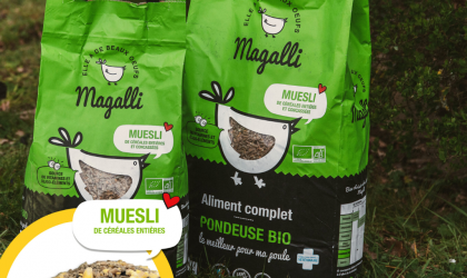 Magalli, le meilleur pour vos poules