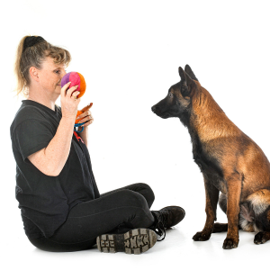 jeux chien avec femme