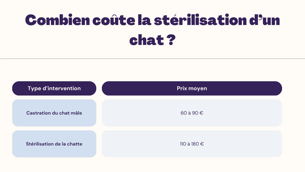 Combien coûte la stérilisation d’un chat