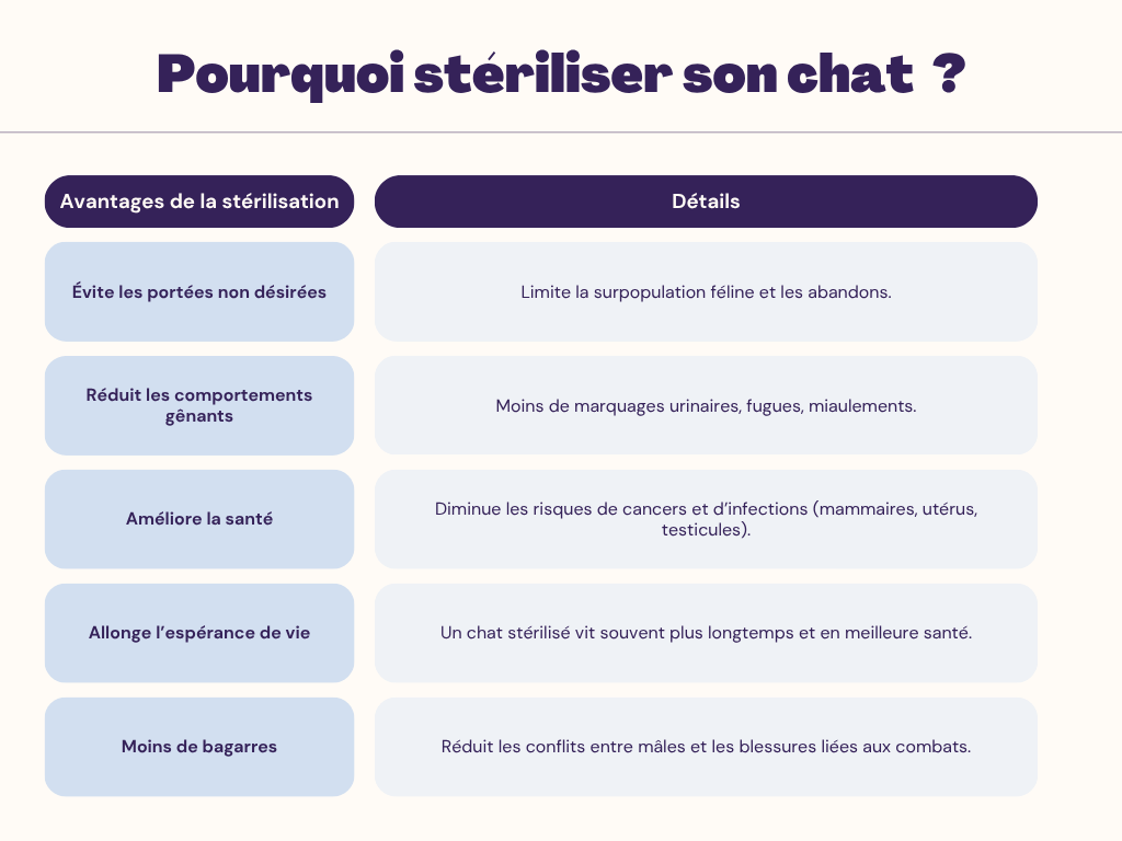 Pourquoi stériliser son chat ?