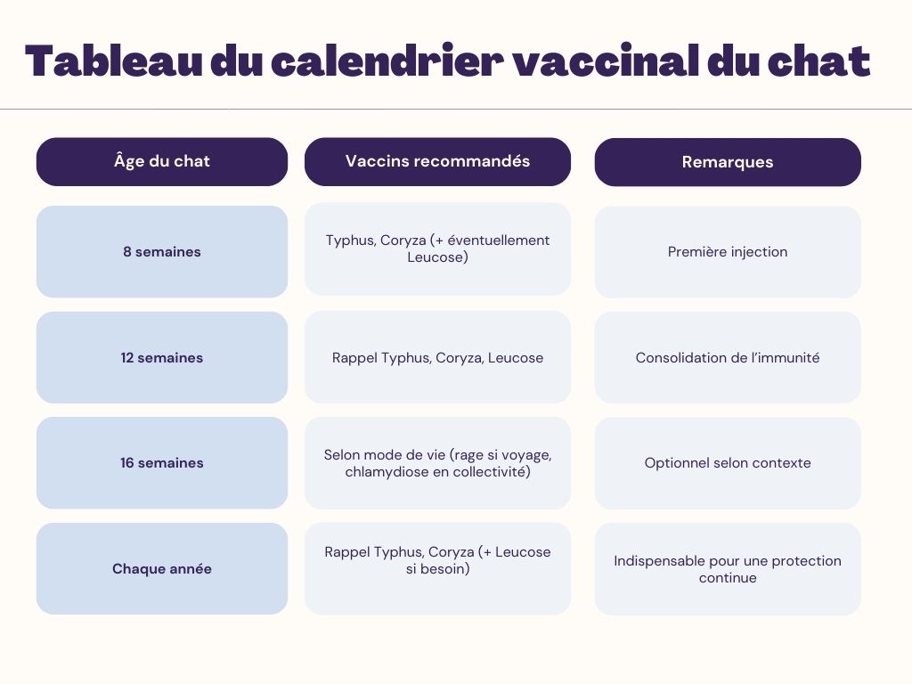 calendrier vaccination chat