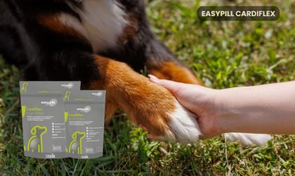 Easypill Cardiflex