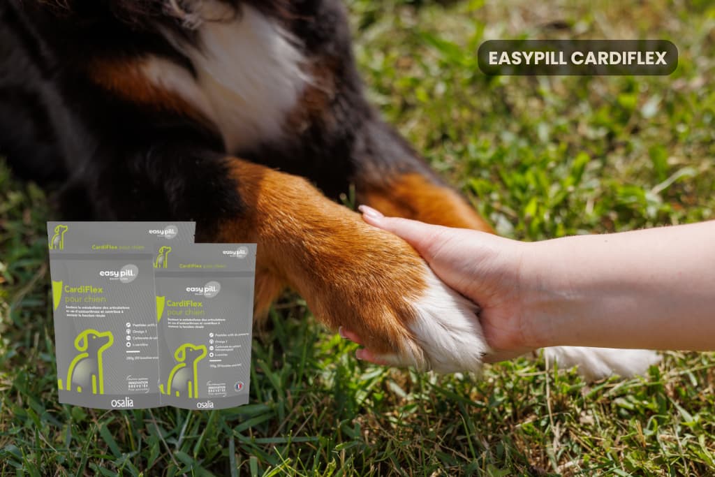 Easypill Cardiflex