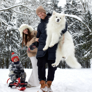 samoyède à la neige avec famille
