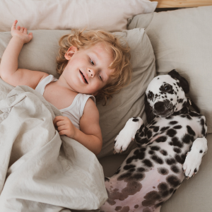 enfant et dalmatien