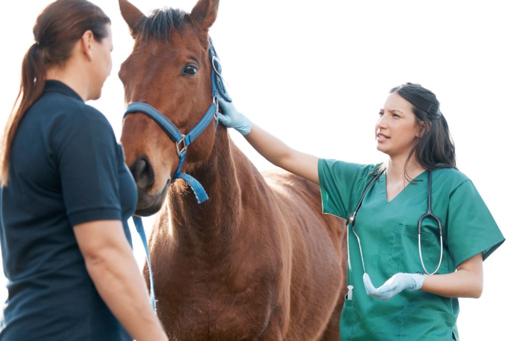 10 signes que votre cheval doit voir un vétérinaire