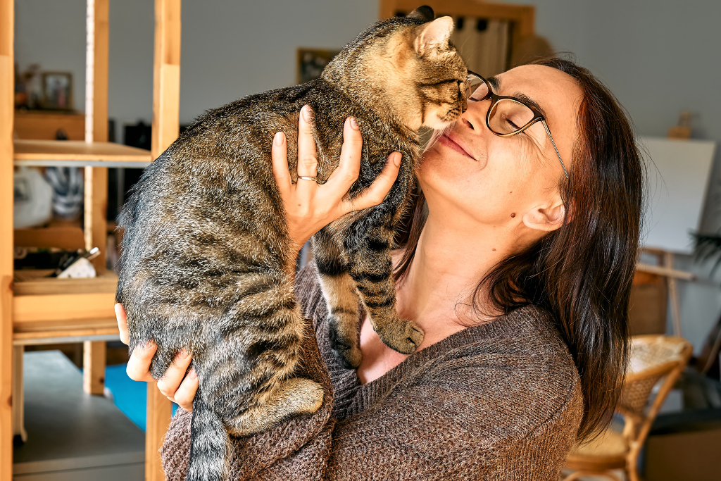 Décrypter le comportement du chat