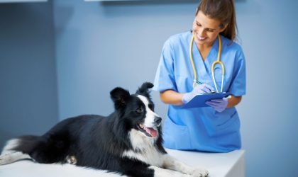 Comment savoir si mon animal a des vers ?