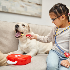 chien qui joue avec une enfant