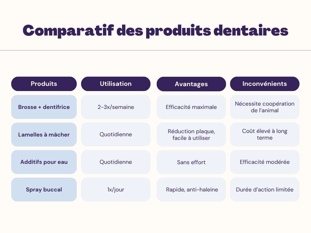 Soins Dentaires à Domicile 